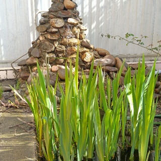 Объявление Земельный участок, 15 сот.