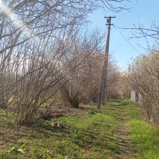 Объявление Земельный участок, 6.51 сот.