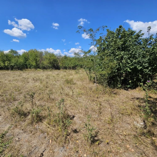 Объявление Земельный участок, 20 сот.