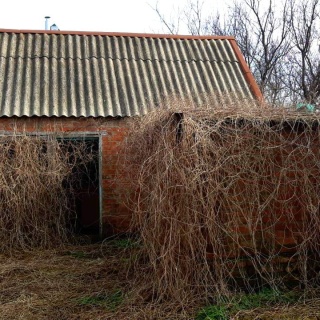 Объявление Дом, 35.5м2, 1 эт, 23.77 сот.