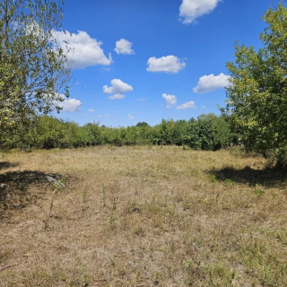 Объявление Земельный участок, 20 сот.