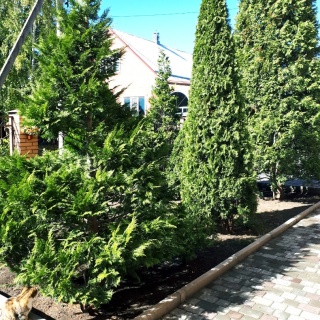 Объявление Дом, 433м2, 2 эт, 13 сот.