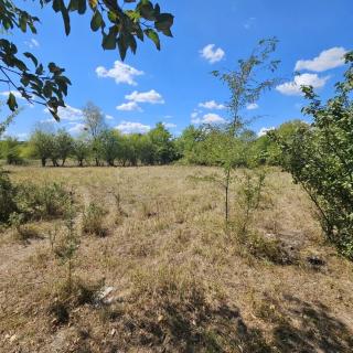 Объявление Земельный участок, 20 сот.