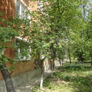 Объявление 3-к квартира, 65м2, 2/4 эт