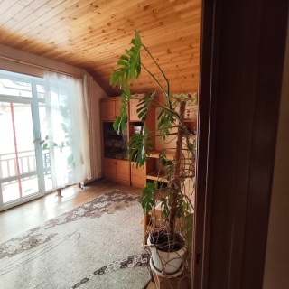 Объявление Дом, 281м2, 3 эт, 4.5 сот.